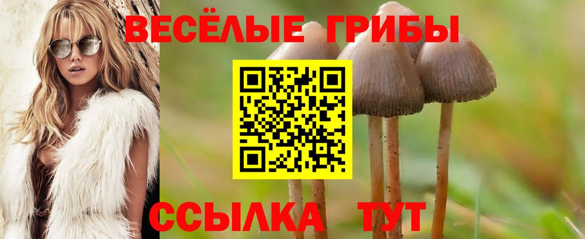 Ачхой-Мартан  Псилоцибиновые грибы мицелий  Вход с VPN 